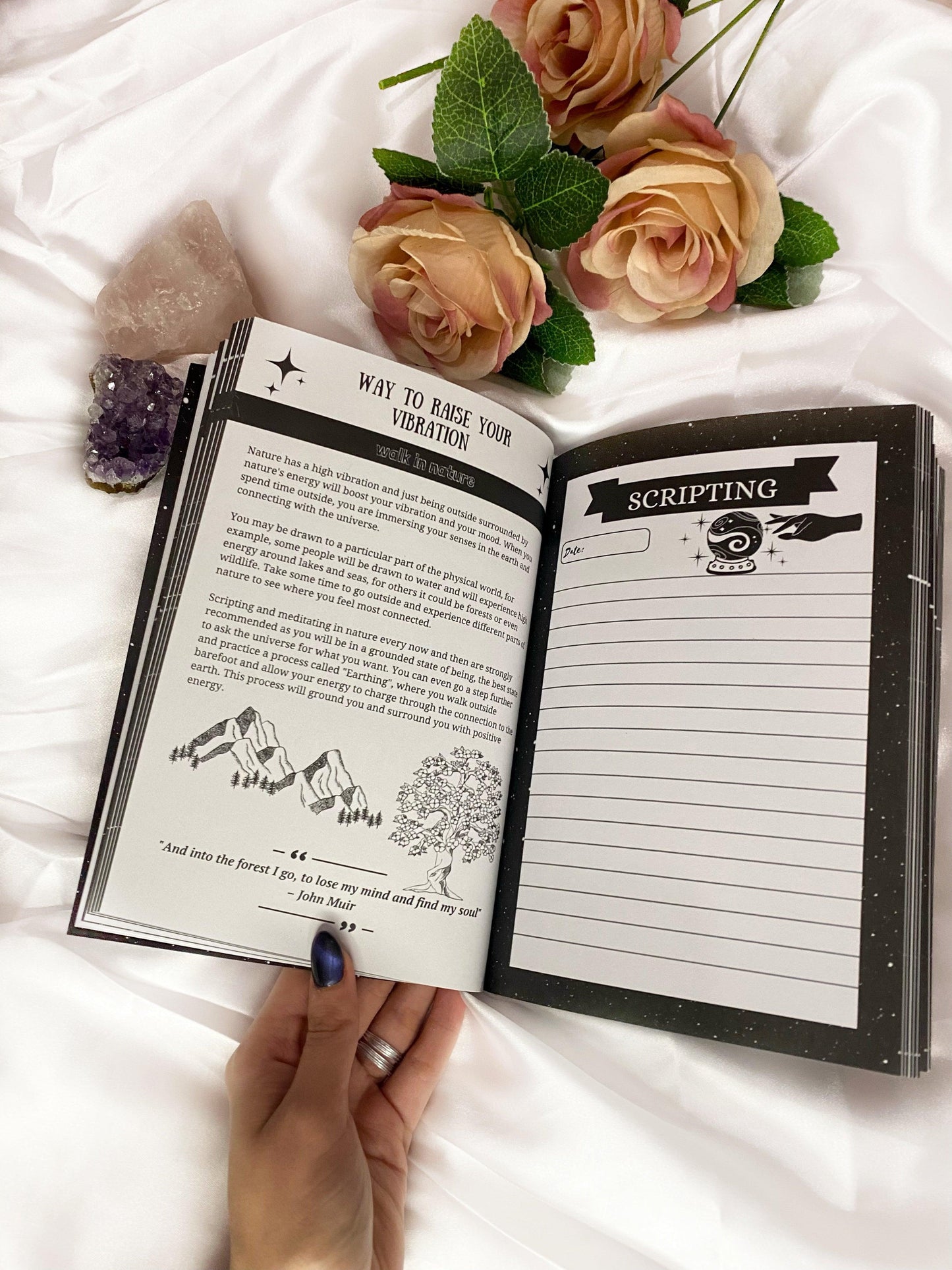 The Manifestation Journal.