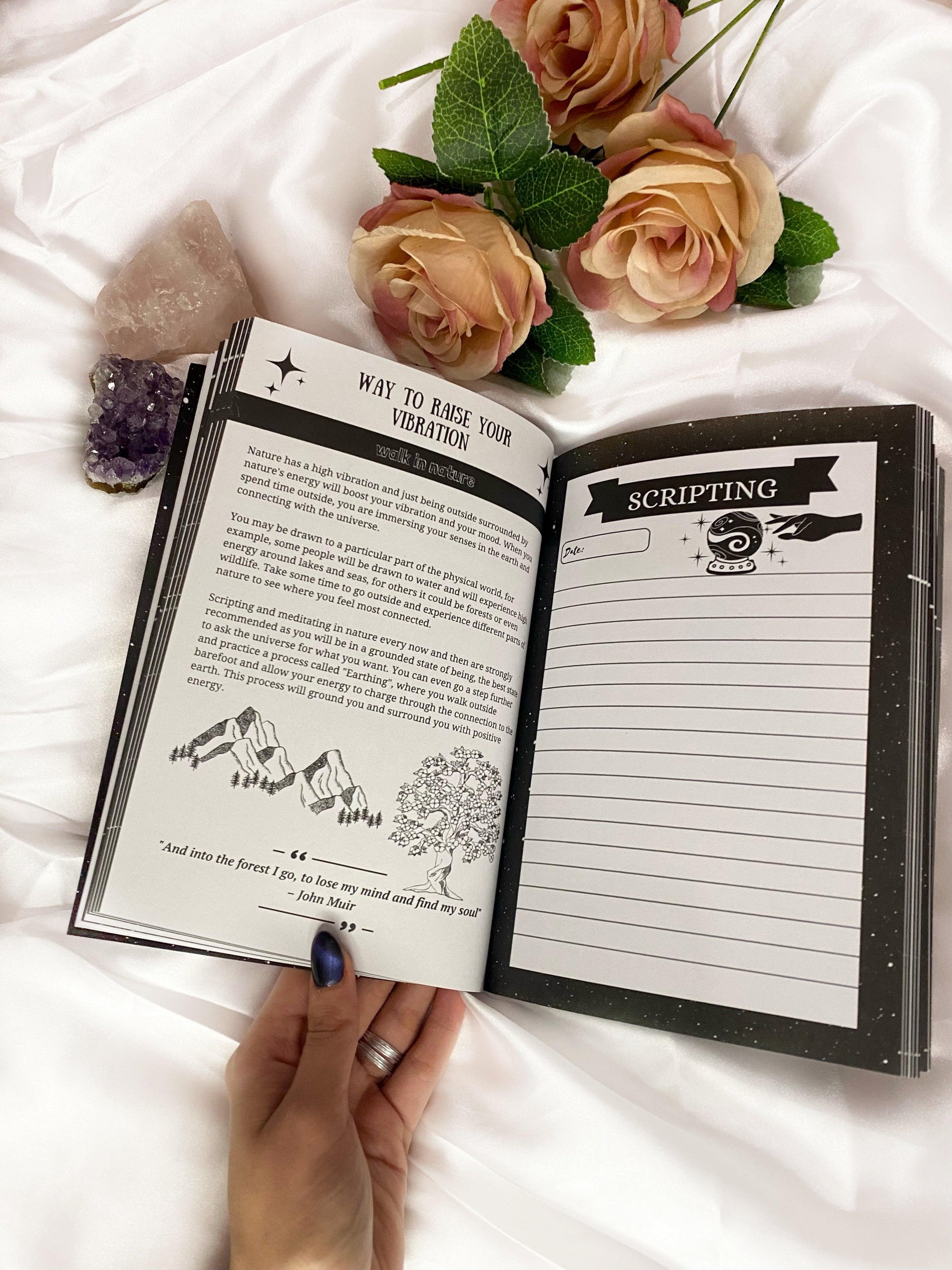 The Manifestation Journal.