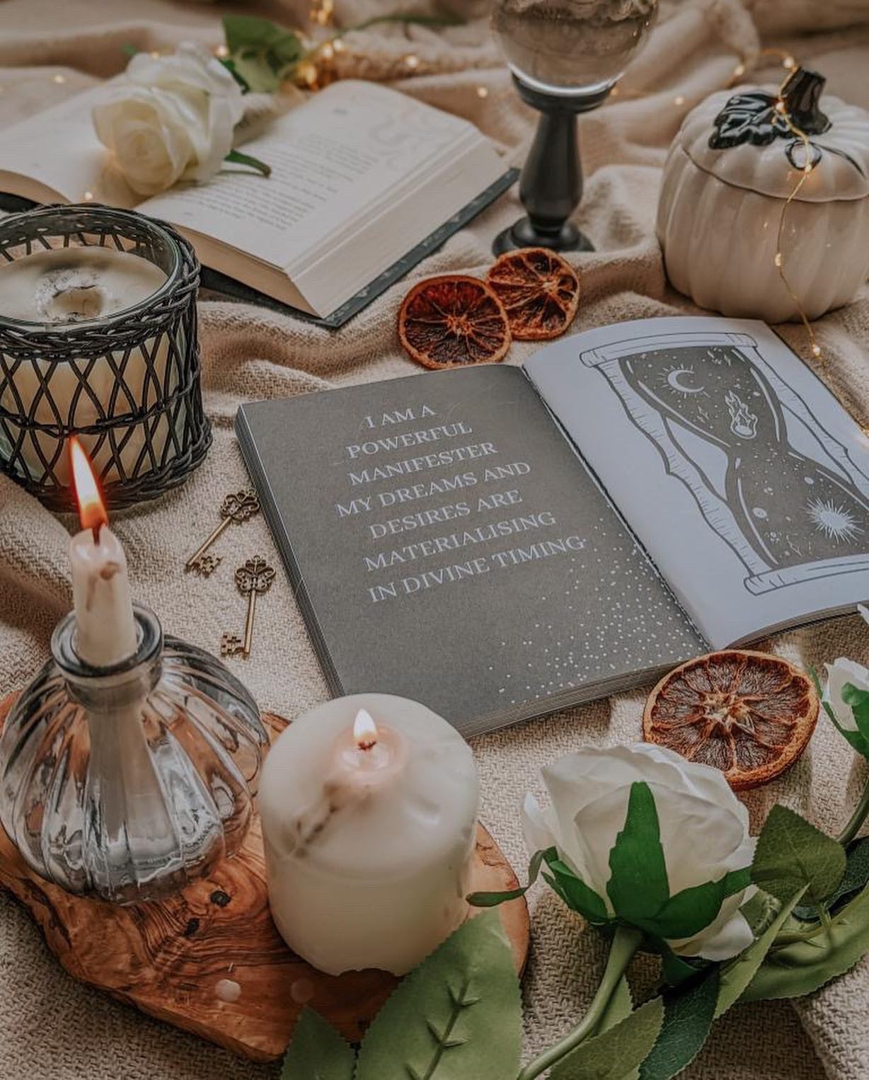 The Manifestation Journal